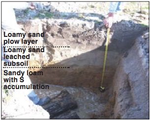 Photo showing different soil layers.